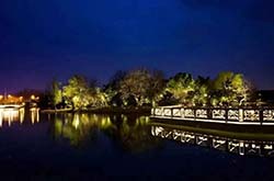 防疫抗疫，負重前行，太陽能路燈廠家牛氣沖天，犇起來！！！