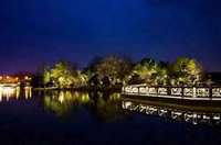 防疫抗疫，負重前行，太陽能路燈廠家牛氣沖天，犇起來！！！