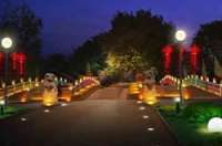 子鼠抖尾辭舊歲，金牛昂首奮進年——致各界朋友及全體員工春節慰問信